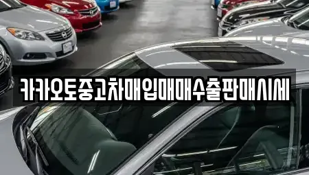 경기 평택시 지제동 중고차매입 전문 카카오토중고차매입매매수출판매시세