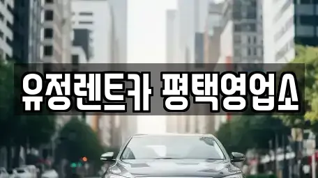 경기 평택시 합정동 렌트카,단기렌트카,장기렌트카,중고차,중고차매매,중고차매입