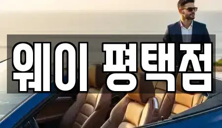 경기 평택시 합정동 장기렌트카 전문 웨이 평택점