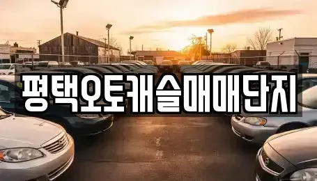 경기 평택시 합정동 중고차 전문 평택오토캐슬매매단지