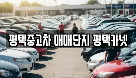 경기 평택시 합정동 중고차 전문 평택중고차 매매단지 평택카넷