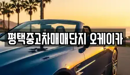 경기 평택시 합정동 중고차 전문 평택중고차매매단지 오케이카