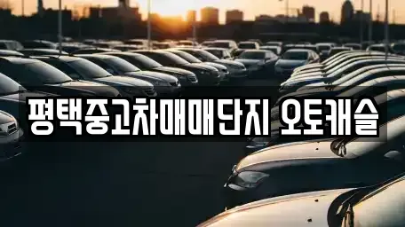 경기 평택시 합정동 중고차 전문 평택중고차매매단지 오토캐슬