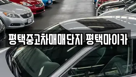 경기 평택시 합정동 중고차 전문 평택중고차매매단지 평택마이카