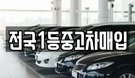 경기 평택시 합정동 중고차매입 전문 전국1등중고차매입