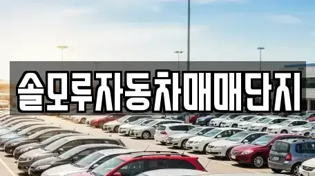 경기 포천시 소흘읍 중고차매매 전문 솔모루자동차매매단지