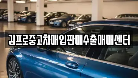 경기 포천시 소흘읍 단기렌트카,중고차매입,중고차매매,중고차,렌트카,장기렌트카