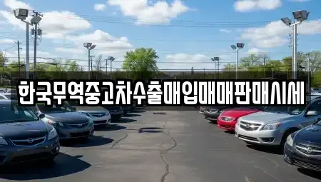 경기 포천시 소흘읍 중고차매입 전문 한국무역중고차수출매입매매판매시세