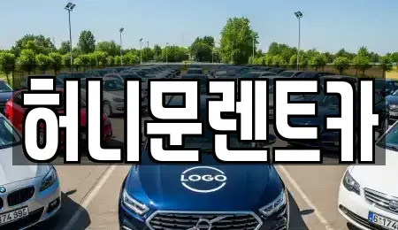 경기 포천시 신읍동 렌트카 전문 허니문렌트카