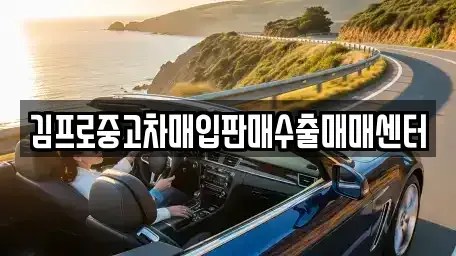 경기 포천시 신읍동 중고차매매 전문 김프로중고차매입판매수출매매센터