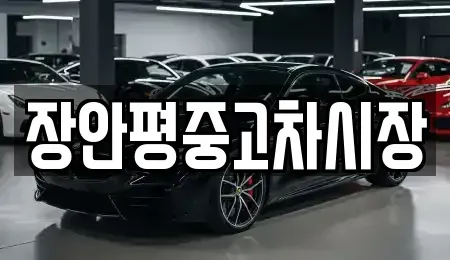 경기 포천시 신읍동 중고차매매 전문 장안평중고차시장