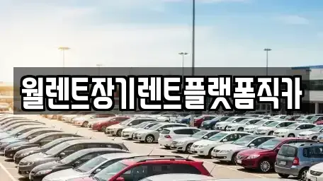 경기 하남시 광암동 렌트카 전문 월렌트장기렌트플랫폼직카