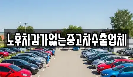 경기 하남시 광암동 중고차매매 전문 노후차감가없는중고차수출업체