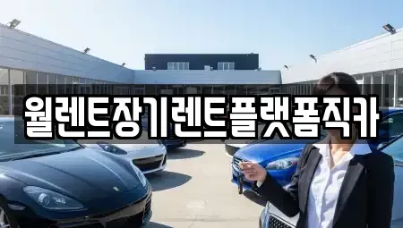 경기 하남시 상사창동 장기렌트카 전문 월렌트장기렌트플랫폼직카