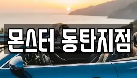 경기 화성시 방교동 렌트카 전문 몬스터 동탄지점