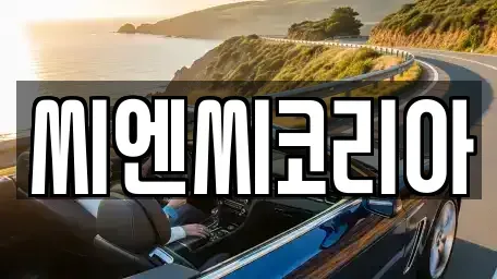 경기 화성시 방교동 렌트카 전문 씨엔씨코리아