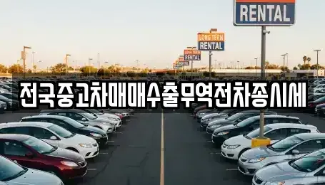 경기 화성시 방교동 중고차 전문 전국중고차매매수출무역전차종시세