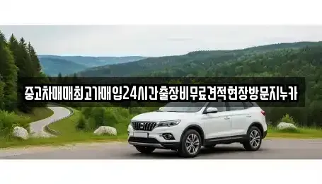 경기도 고양시 덕양구 북한동 중고차 전문 중고차매매최고가매입24시간출장비무료견적현장방문지누카