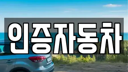 경기도 과천시 문원동 중고차매매 전문 인증자동차