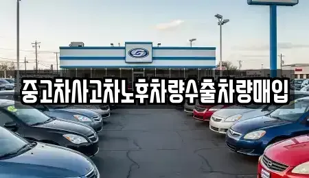 경기도 과천시 문원동 중고차매입 전문 중고차사고차노후차량수출차량매입