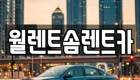 경기도 광주시 쌍령동 렌트카 전문 월렌트솜렌트카