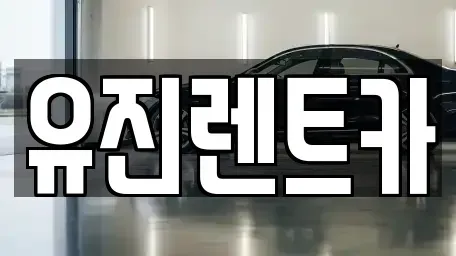 경기도 광주시 쌍령동 렌트카 전문 유진렌트카