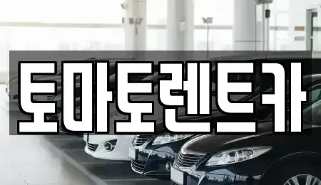 경기도 광주시 쌍령동 렌트카 전문 토마토렌트카