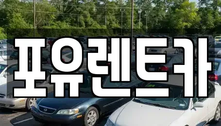 경기도 광주시 쌍령동 렌트카 전문 포유렌트카