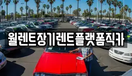 경기도 광주시 쌍령동 장기렌트카 전문 월렌트장기렌트플랫폼직카