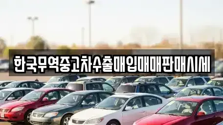 경기도 광주시 쌍령동 중고차매입 전문 한국무역중고차수출매입매매판매시세