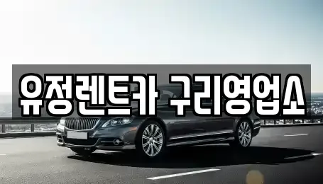 경기도 구리시 인창동 렌트카 전문 유정렌트카 구리영업소