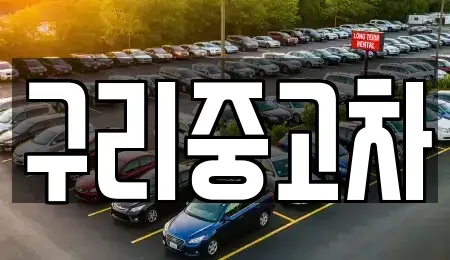 경기도 구리시 인창동 중고차 전문 구리중고차