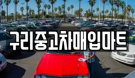 경기도 구리시 인창동 중고차 전문 구리중고차매입마트