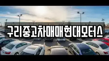 경기도 구리시 인창동 중고차매매 전문 구리중고차매매현대모터스