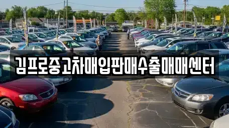 경기도 구리시 인창동 중고차매입 전문 김프로중고차매입판매수출매매센터