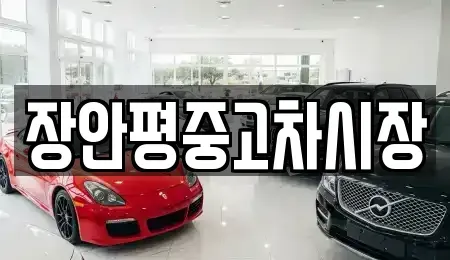 경기도 군포시 부곡동 중고차 전문 장안평중고차시장