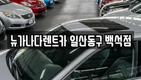 경기도 김포시 고촌읍 단기렌트카 전문 뉴가나다렌트카 일산동구 백석점