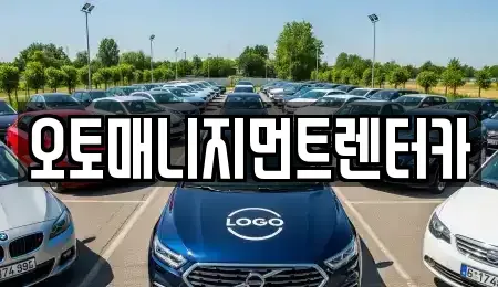 경기도 김포시 고촌읍 렌트카 전문 오토매니지먼트렌터카