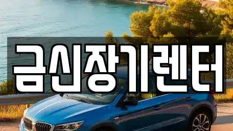 경기도 김포시 고촌읍 장기렌트카 전문 금신장기렌터
