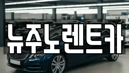 경기도 김포시 고촌읍 장기렌트카 전문 뉴주노렌트카