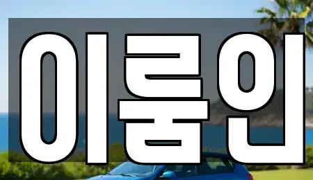경기도 김포시 고촌읍 장기렌트카 전문 이룸인