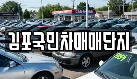 경기도 김포시 고촌읍 중고차 전문 김포국민차매매단지