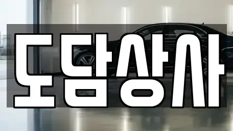 경기도 김포시 고촌읍 중고차 전문 도담상사