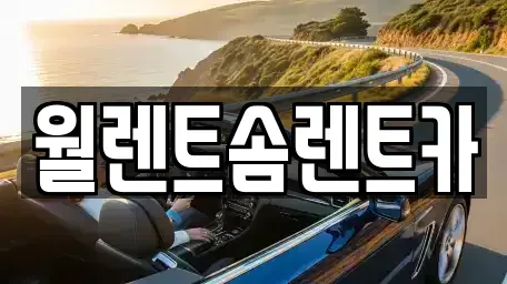 경기도 김포시 풍무동 렌트카 전문 월렌트솜렌트카