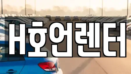 경기도 김포시 풍무동 장기렌트카 전문 H호언렌터