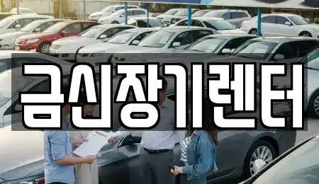 경기도 김포시 풍무동 장기렌트카 전문 금신장기렌터