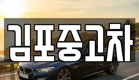 경기도 김포시 풍무동 중고차 전문 김포중고차