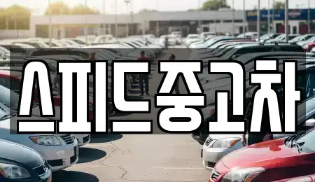 경기도 김포시 풍무동 중고차 전문 스피드중고차
