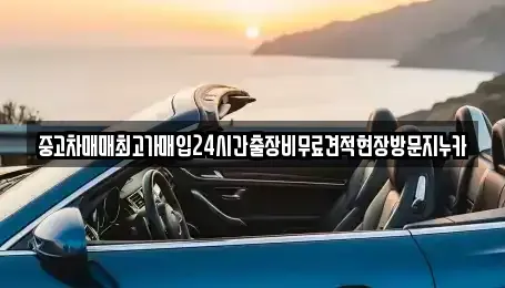 경기도 김포시 풍무동 중고차 전문 중고차매매최고가매입24시간출장비무료견적현장방문지누카
