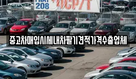 경기도 김포시 풍무동 중고차매입 전문 중고차매입시세내차팔기견적가격수출업체